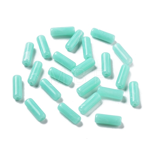 Opaque Acrylic Beads OACR-Q196-03I-1