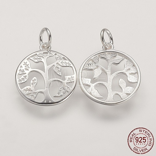 925 Sterling Silver Pendants STER-K029-01S-1