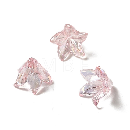 Transparent Acrylic Bead Caps OACR-H016-05H-1