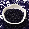 Transparent Colours Glass Seed Beads SEED-P006-02A-11-2