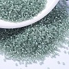 MIYUKI Delica Beads SEED-J020-DB1484-1
