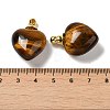 Natural Tiger Eye Perfume Bottle Pendants G-Z039-03G-05-3