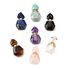Natural Mixed Stone Perfume Bottle Pendants G-L623-12G-1