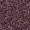 TOHO Round Seed Beads SEED-XTR11-0201-2