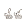 Brass Micro Pave Clear Cubic Zirconia Charms KK-H292-56C-P-1