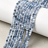 Natural Blue Opal Beads Strands G-P603-C-2mm-04-1