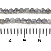 Natural Labradorite Beads Strands G-R462-008-01-4