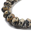 Natural Dalmatian Jasper Beads Strands G-P559-A01-01-4