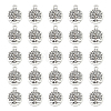 Tibetan Style Alloy Pendants FIND-DC0006-12B-1