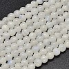 Natural Rainbow Moonstone Beads Strands G-P335-12-6mm-1