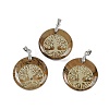 Natural Picture Jasper Flat Round Pendants G-Q188-01P-11-1