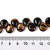 Natural Tiger Eye Beads Strands G-T138-114-4