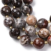 Natural Petrified Wood Beads Strands G-C249-A24-16MM-4