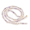 Natural Agate Beads Strands G-H302-A01-09-5