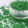 Glass Seed Beads SEED-A010-3mm-47-1