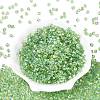 FGB Transparent Colours Glass Seed Beads SEED-Q040-07A-B06-2