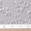 MIYUKI Delica Beads X-SEED-J020-DB0222-4