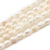 Natural Cultured Freshwater Pearl Beads Strands PEAR-I007-01J-02A-2