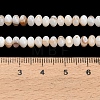 Natural Freshwater Shell Beads Strands SHEL-C010-04B-01-4