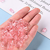 Transparent Acrylic Beads TACR-S154-27B-26-5