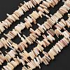 Natural Shell Beads Strands SHEL-D002-01A-1