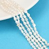 Natural Cultured Freshwater Pearl Beads Strands PEAR-P064-20E-03C-1