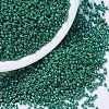 MIYUKI Delica Beads X-SEED-J020-DB0656-1