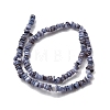 Natural Freshwater Shell Beads SHEL-B003-01G-2