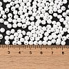 6/0 Opaque Baking Paint Glass Seed Beads X1-SEED-M012-02A-37-4