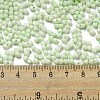 Macaron Color Opaque Frosted Glass Seed Beads SEED-K009-12B-06-4