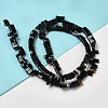 Natural Black Banded Agate/Striped Agate Beads Strands G-Z045-A12-01-2