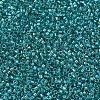 MIYUKI Delica Beads X-SEED-J020-DB2380-3