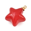 304 Stainless Steel Resin Pendants STAS-K322-10D-02-2