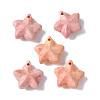 Natural Rainbow Alashan Agate Charms G-G194-02D-1