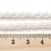 Natural Cultured Freshwater Pearl Beads Strands PEAR-P062-03A-5