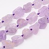 Natural Amethyst Beads Strands G-G543-03B-1