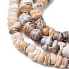 Natural Shell Beads Strands SH-CBA2978-03-2