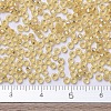MIYUKI Round Rocailles Beads X-SEED-G007-RR0002-4