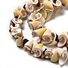 Natural Sea Shell Beads Strands BSHE-E026-14-3