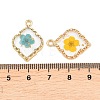 Alloy Epoxy Resin Pendants FIND-Z114-01G-01-3