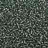 TOHO Round Seed Beads SEED-XTR08-2202-2
