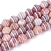 Dyed Natural Agate Beads Strands G-T144-27E-4