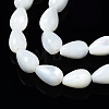 Natural Trochid Shell/Trochus Shell Beads Strands SSHEL-S266-022-3