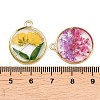 Alloy Epoxy Resin Pendants FIND-Z114-01G-05-3