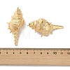 Electroplated Natural Conch Shell Big Pendants SSHEL-B002-01G-02-3