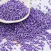 Baking Paint Glass Seed Beads SEED-S042-15B-32-1