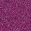 TOHO Round Seed Beads SEED-JPTR15-2107-2