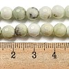 Natural Dendritic Jasper Beads Strands G-E571-A05-01-5