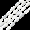 Natural White Shell Beads Strands SH-CBAF49A-03-1
