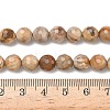 Natural Petrified Wood Beads Strands G-L642-F09-8mm-5